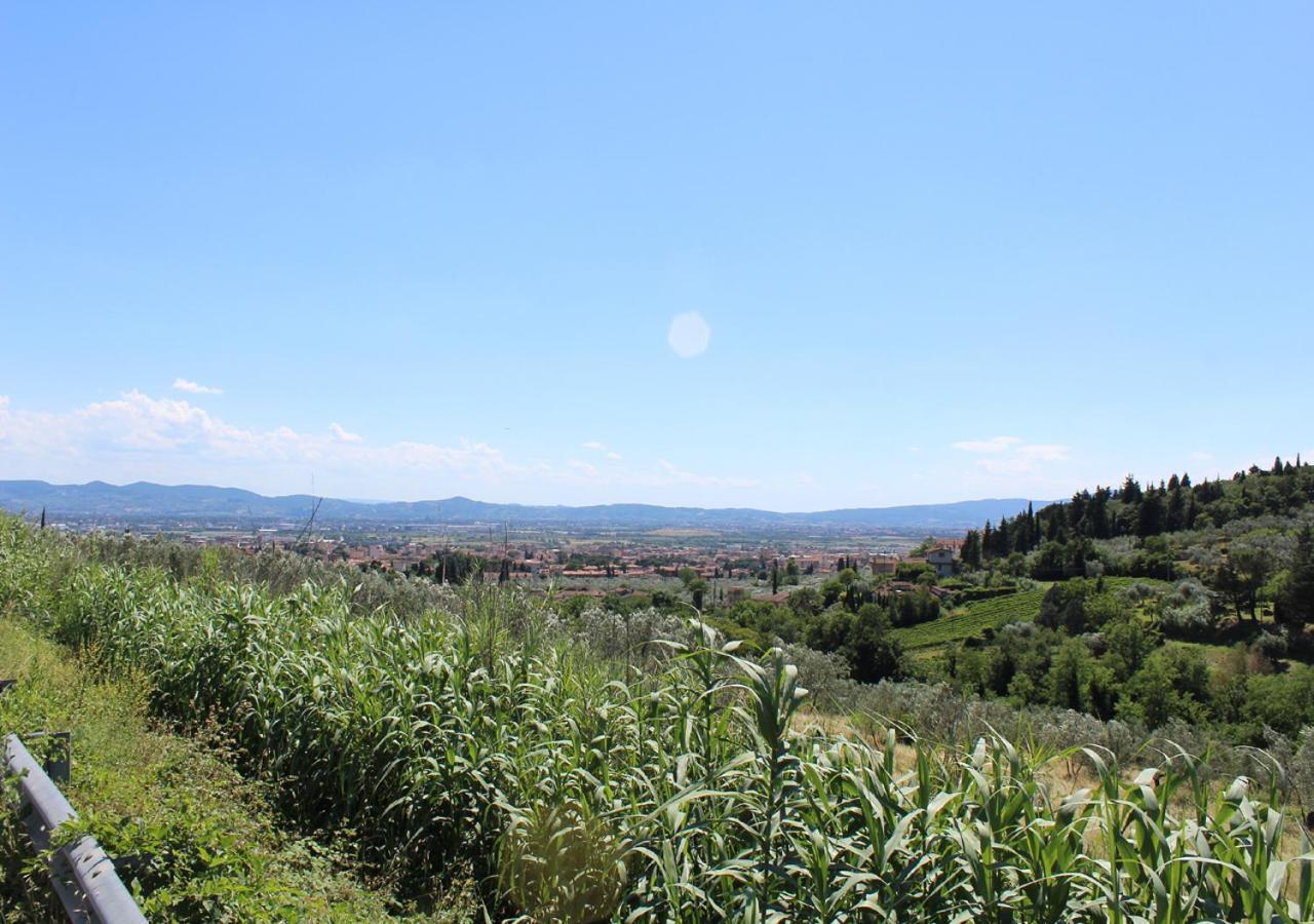 Ulivo Rosso Bed & Breakfast Sesto Fiorentino Exterior photo